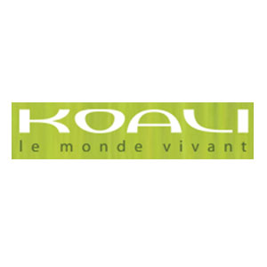 Koali